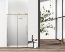 Elegant SD101-4876BGD - Frameless Shower Door 48x76 Brushed Gold