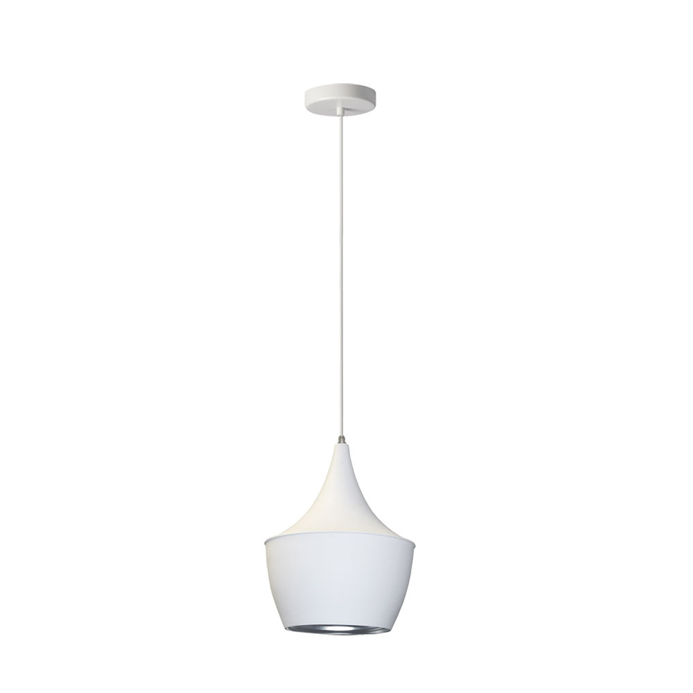 1 Light Pendant, Matte White / Silver