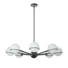 Dainolite SOF-388C-MB - 8LT Halogen Chandelier, MB with WH Opal Glass