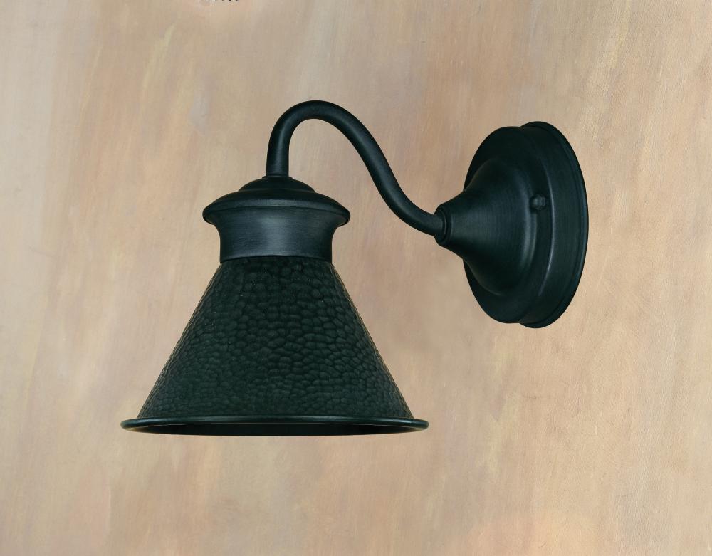 Dark Sky Essen 1-Light Outdoor Rust Short-Arm Wall Lamp