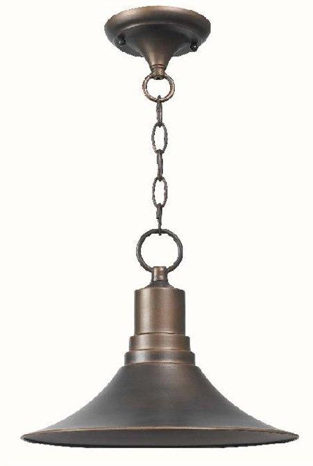 Dark Sky Kingston Outdoor 1-Light Pendant