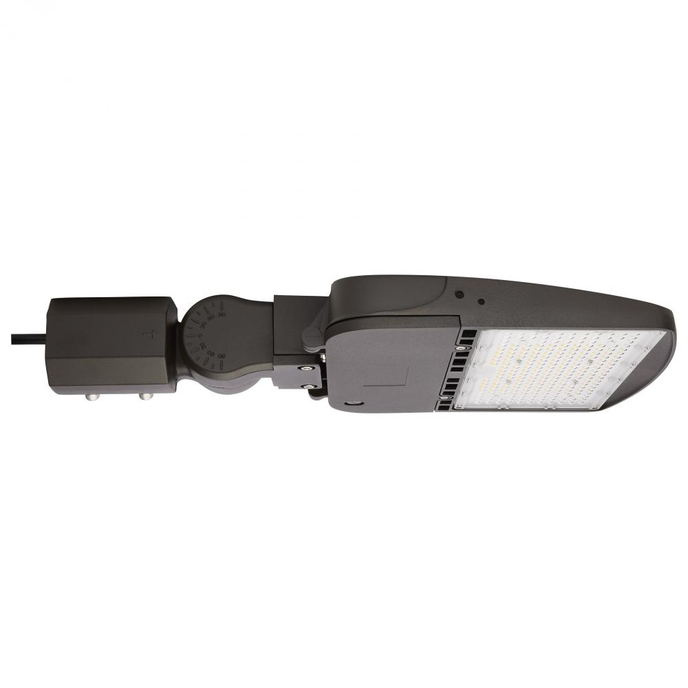 LED Area Light Type IV; 150W; Bronze Finish; 5000K; 277-480V