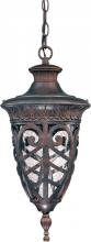 Nuvo 60/2058 - 1-Light Outdoor Hanging Lantern in Dark Plum Bronze Finish and Clear Seeded Glass