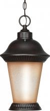 Nuvo 60/2504 - Clarion ES; 3 Light; Hanging Lantern with Brushed Wheat Glass; Lamp Included