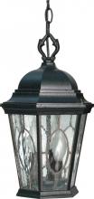 Nuvo 60/797 - Fordham - 3 Light - 16" - Hanging Lantern - w/ Clear Water & Seed Glass Panels