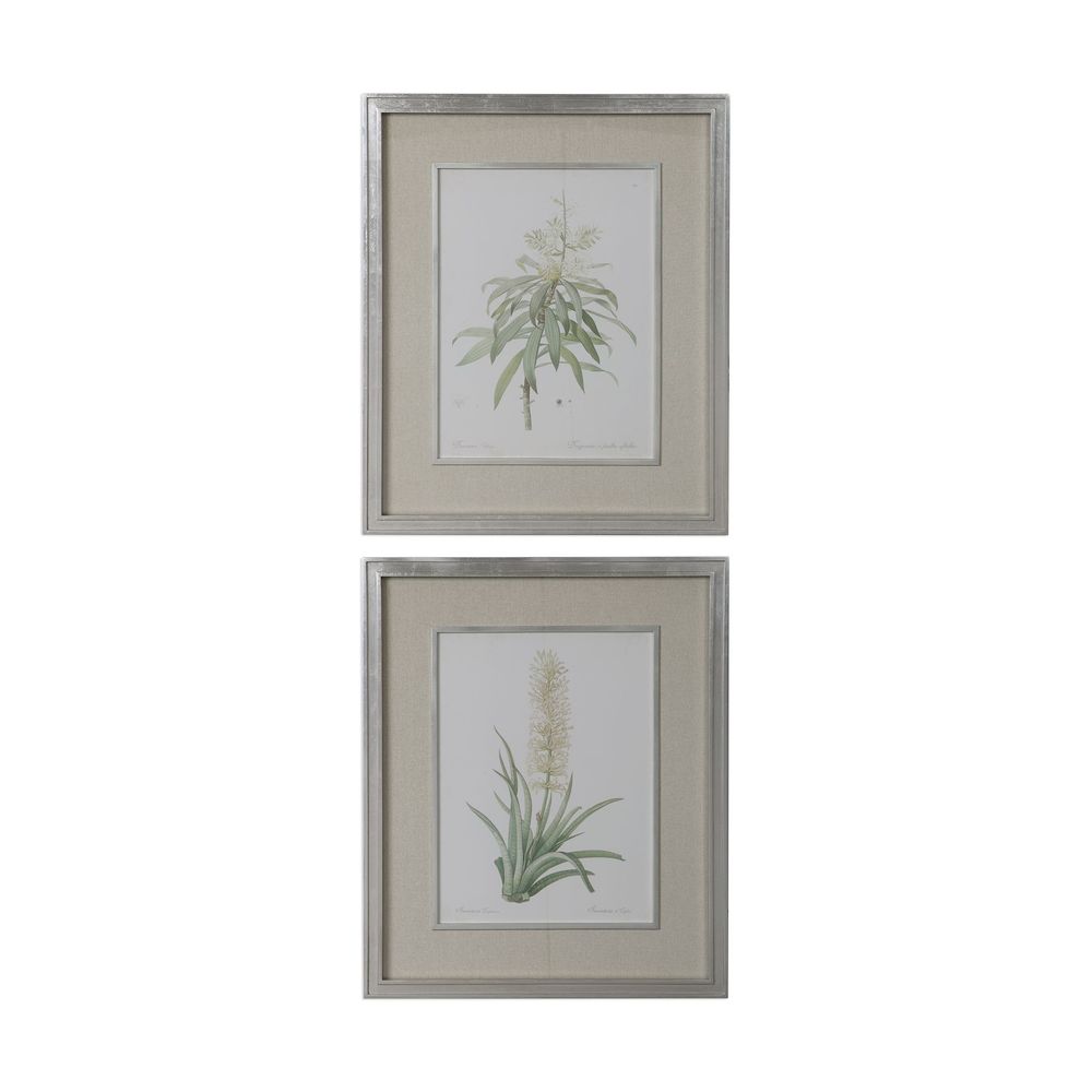 Uttermost Plant Study Framed Prints Set/2