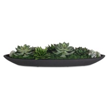 Uttermost 60260 - Uttermost Verde Succulent Centerpiece In Bowl