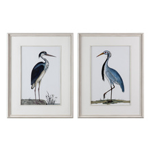 Uttermost 33668 - Uttermost Shore Birds Framed Prints S/2
