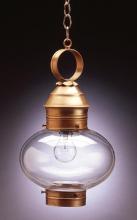 Northeast Lantern 2042-VG-MED-CSG - Onion Hanging No Cage Verdi Gris Medium Base Socket Clear Seedy Glass