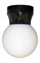 Wave Lighting 421C-BK - POCKET CEILING LANTERN